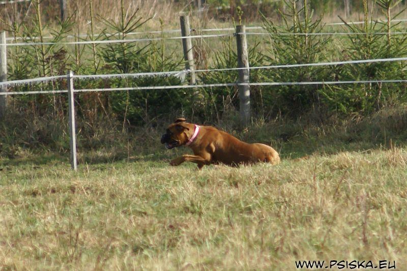 dsc04639.jpg